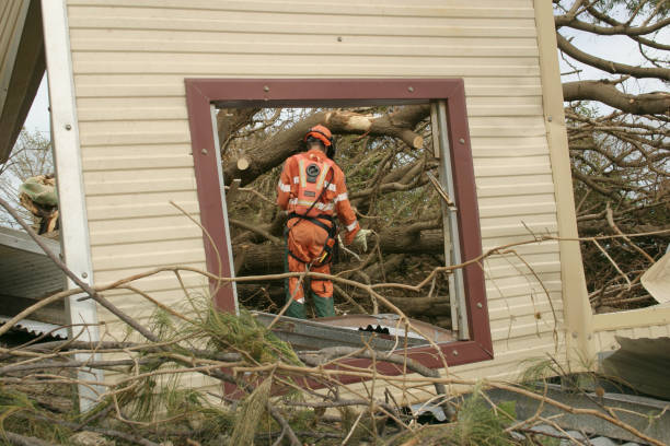 Inez, TX Tree Removal Company